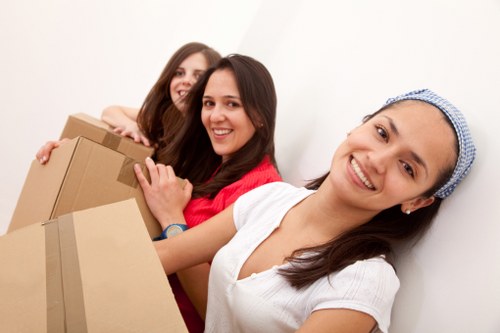 Mover carrying a securely handled household item with care
