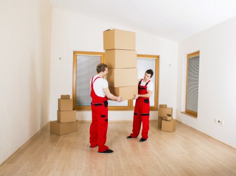 Van transport for local delivery and small removals in Wembley